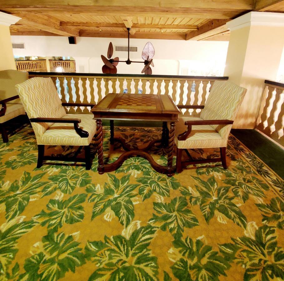 Romantic Studio In The Heart Of Palm Beach - Free Valet Service Esterno foto